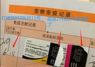 娱乐吃瓜酱宠物疫苗本,吃瓜酱带你全面了解宠物疫苗接种知识